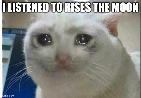 It…it’s emotional | I LISTENED TO RISES THE MOON | image tagged in crying cat | made w/ Imgflip meme maker