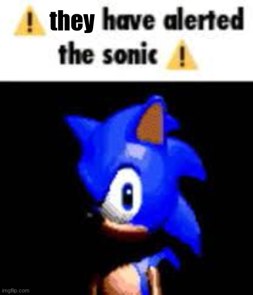 you have alerted the sonic | they | image tagged in you have alerted the sonic | made w/ Imgflip meme maker