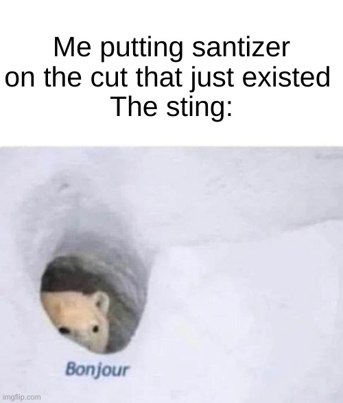ITS HURTS SO MUCHH UGH | Me putting santizer on the cut that just existed 
The sting: | image tagged in bonjour | made w/ Imgflip meme maker