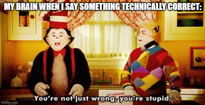 You're not just wrong, you're stupid. | MY BRAIN WHEN I SAY SOMETHING TECHNICALLY CORRECT: | image tagged in you're not just wrong you're stupid | made w/ Imgflip meme maker