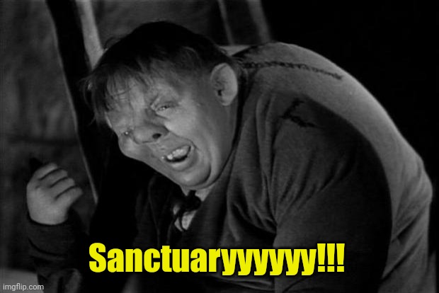 Quasimodo | Sanctuaryyyyyy!!! | image tagged in quasimodo | made w/ Imgflip meme maker