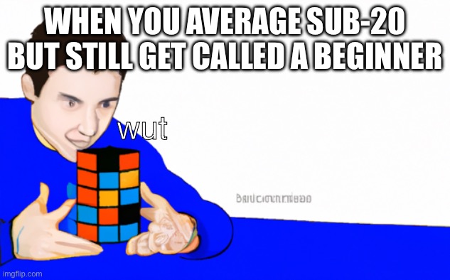 i feel his pain, except i average sub 35 | WHEN YOU AVERAGE SUB-20 BUT STILL GET CALLED A BEGINNER; wut | image tagged in average speedcubing meme,what | made w/ Imgflip meme maker
