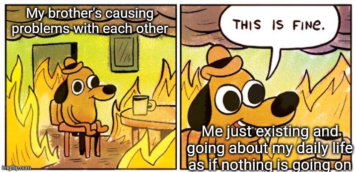 This Is Fine | My brother's causing problems with each other; Me just existing and going about my daily life as if nothing is going on | image tagged in memes,this is fine | made w/ Imgflip meme maker