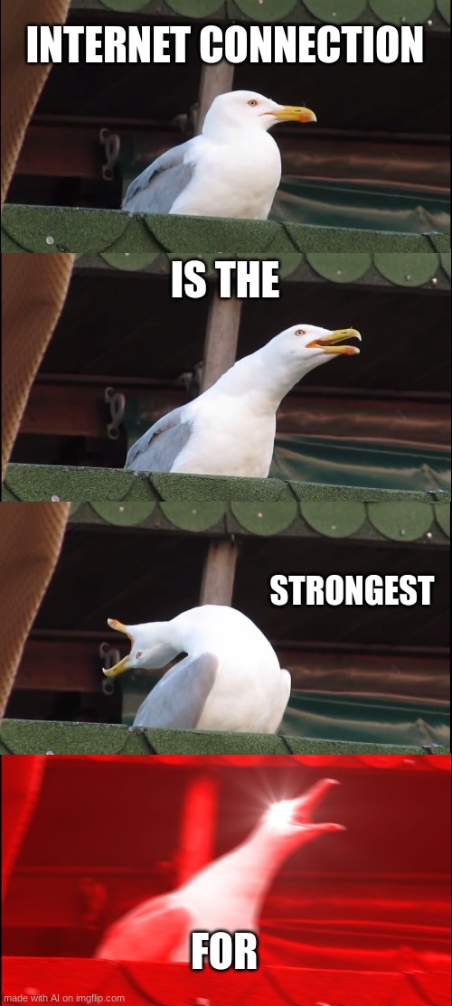 Anything | INTERNET CONNECTION; IS THE; STRONGEST; FOR | image tagged in memes,inhaling seagull,funny,ai meme | made w/ Imgflip meme maker
