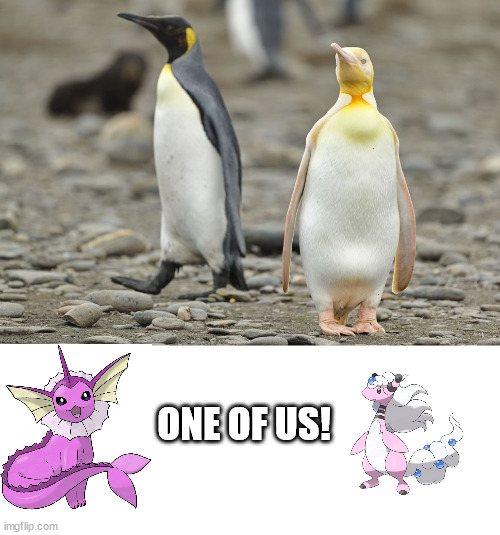 shiny penguin | ONE OF US! | image tagged in penguin,shiny,pokemon | made w/ Imgflip meme maker