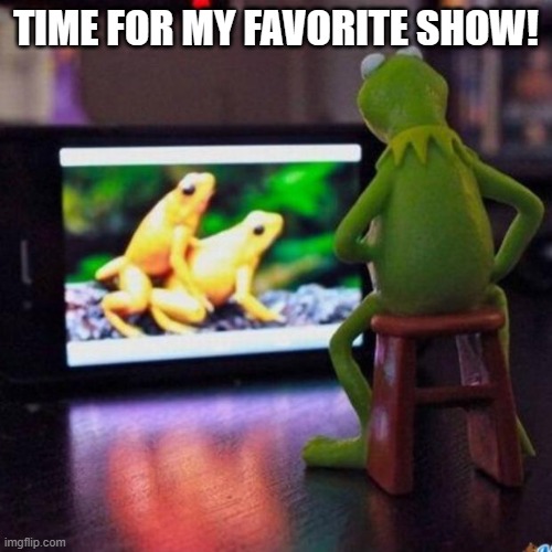 kermit tv | TIME FOR MY FAVORITE SHOW! | image tagged in kermit tv | made w/ Imgflip meme maker