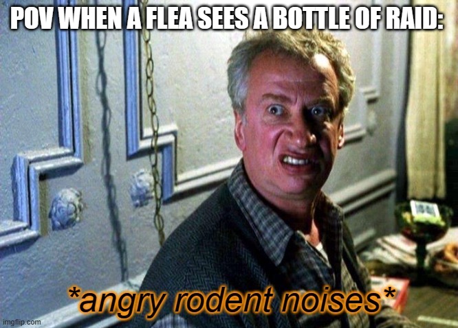 Angry rodent noises | POV WHEN A FLEA SEES A BOTTLE OF RAID: | image tagged in angry rodent noises | made w/ Imgflip meme maker