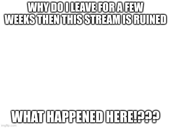 what is even happening here | WHY DO I LEAVE FOR A FEW WEEKS THEN THIS STREAM IS RUINED; WHAT HAPPENED HERE!??? | image tagged in help | made w/ Imgflip meme maker