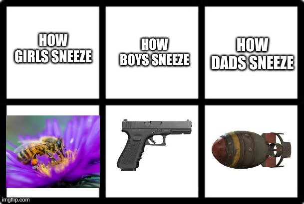 lol | HOW BOYS SNEEZE; HOW DADS SNEEZE; HOW GIRLS SNEEZE | image tagged in true | made w/ Imgflip meme maker
