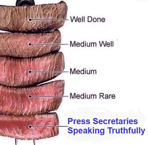 Podium Odium Guaranteed | Press Secretaries 

Speaking Truthfully | image tagged in really rare,press secretary,gov lies,spin,exaggeration,bogus narratives | made w/ Imgflip meme maker