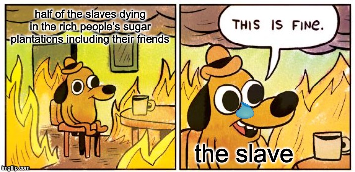 This Is Fine | half of the slaves dying in the rich people's sugar plantations including their friends; the slave | image tagged in memes,this is fine | made w/ Imgflip meme maker