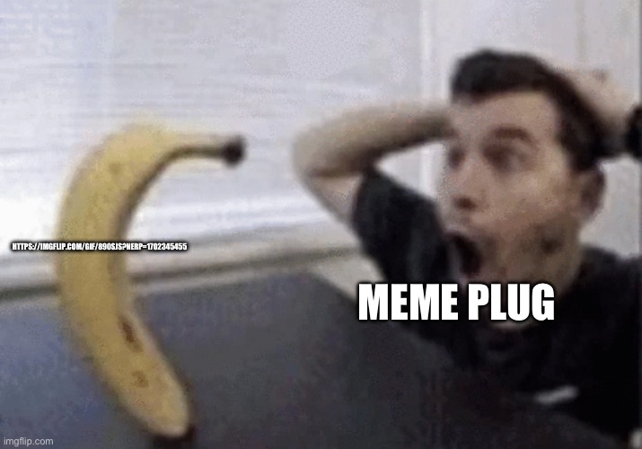 HTTPS://IMGFLIP.COM/GIF/890SJS?NERP=1702345455; MEME PLUG | made w/ Imgflip meme maker