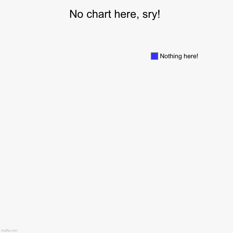 No chart here, sry! | Nothing here! | image tagged in charts,pie charts | made w/ Imgflip chart maker