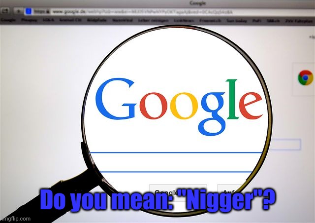 Google search | Do you mean: "Nigger"? | image tagged in google search | made w/ Imgflip meme maker