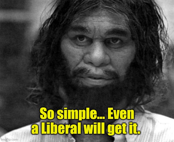 Geico Caveman | So simple... Even a Liberal will get it. | image tagged in geico caveman | made w/ Imgflip meme maker