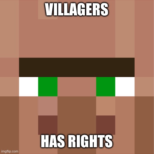 Minecraft Villager | VILLAGERS HAS RIGHTS | image tagged in minecraft villager | made w/ Imgflip meme maker
