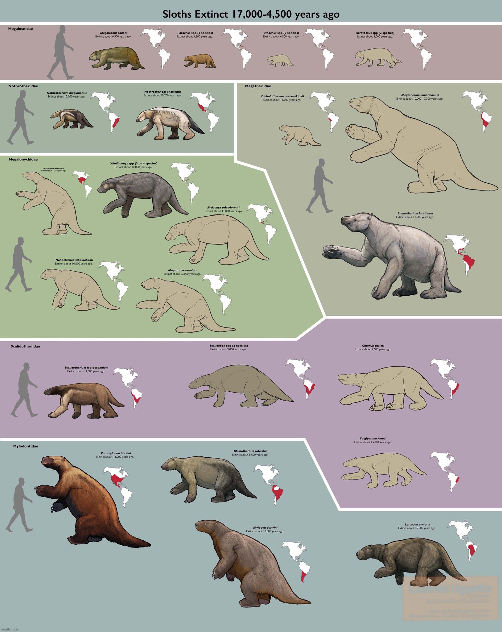For 35,000,000 yrs ground sloths went from South America to Alaska, etc, then went extinct after humans came because the weather | image tagged in ground sloths,giant ground sloths,sloths,prehistoric,ice age megafauna,climate change hoax | made w/ Imgflip meme maker
