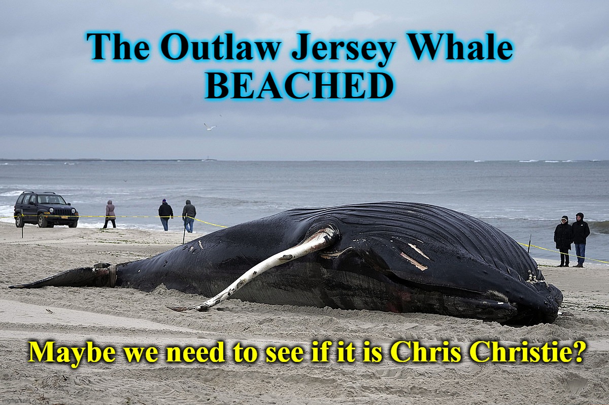 The Outlaw Jersey Whale
BEACHED | The Outlaw Jersey Whale
BEACHED; Maybe we need to see if it is Chris Christie? | image tagged in chris christie,beached whale,rosie odonnell,fat slob,the outlaw josey wales,jabba the hutt | made w/ Imgflip meme maker