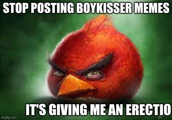 Real | STOP POSTING BOYKISSER MEMES; IT'S GIVING ME AN ERECTIO | made w/ Imgflip meme maker