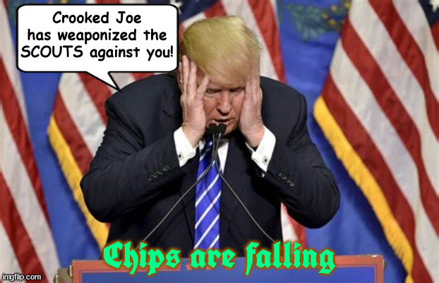 The VICTIM | Crooked Joe has weaponized the SCOUTS against you! Chips are falling | image tagged in trump,victim,scotus,maga,loser,whine | made w/ Imgflip meme maker