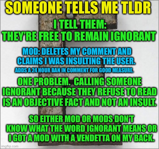 By all means, reply nothing but tldr in comments.  Mods included lol! | SOMEONE TELLS ME TLDR; I TELL THEM:
THEY’RE FREE TO REMAIN IGNORANT; MOD: DELETES MY COMMENT AND CLAIMS I WAS INSULTING THE USER. ADDS A 24 HOUR BAN IN COMMENT FOR GOOD MEASURE. ONE PROBLEM.  CALLING SOMEONE IGNORANT BECAUSE THEY REFUSE TO READ IS AN OBJECTIVE FACT AND NOT AN INSULT. SO EITHER MOD OR MODS DON’T KNOW WHAT THE WORD IGNORANT MEANS OR I GOT A MOD WITH A VENDETTA ON MY BACK. | image tagged in oh the iron e,but seriously,look into this | made w/ Imgflip meme maker