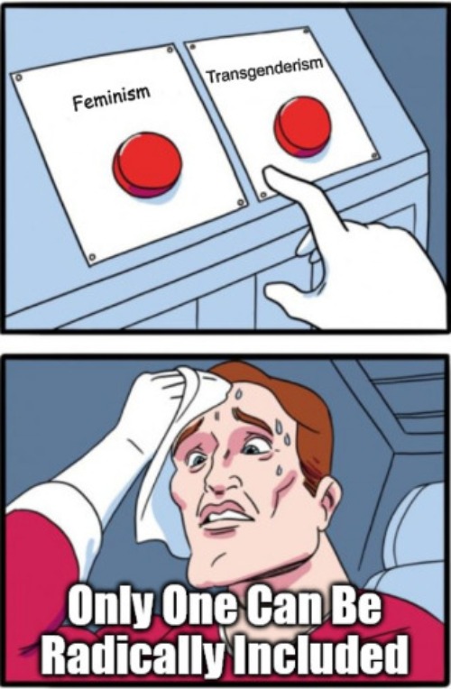 Feminism vs Transgenderism | image tagged in clown world,feminism,lgbtq,transgenderism,two buttons,decision time | made w/ Imgflip meme maker