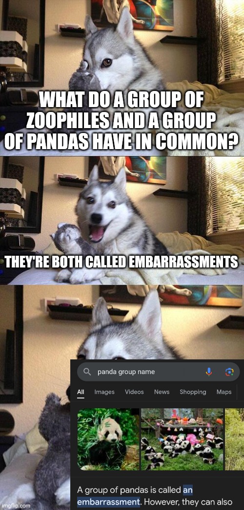 Pandas on top tho | WHAT DO A GROUP OF ZOOPHILES AND A GROUP OF PANDAS HAVE IN COMMON? THEY'RE BOTH CALLED EMBARRASSMENTS | image tagged in panda | made w/ Imgflip meme maker