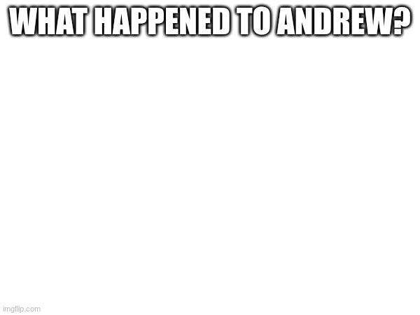 WHAT HAPPENED TO ANDREW? | made w/ Imgflip meme maker