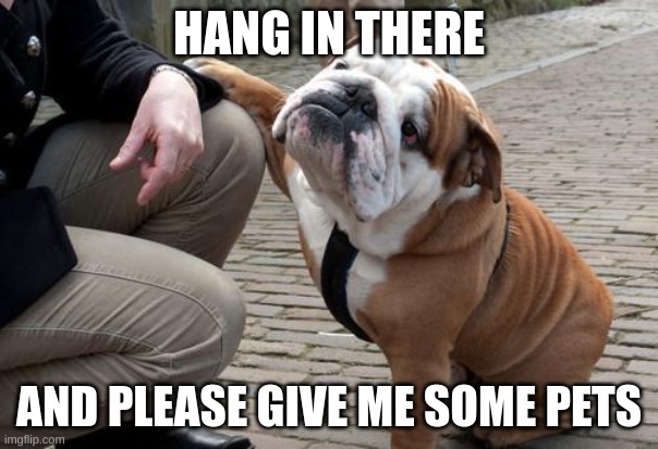 What a cute guy. | HANG IN THERE; AND PLEASE GIVE ME SOME PETS | image tagged in sympathetic bulldog | made w/ Imgflip meme maker