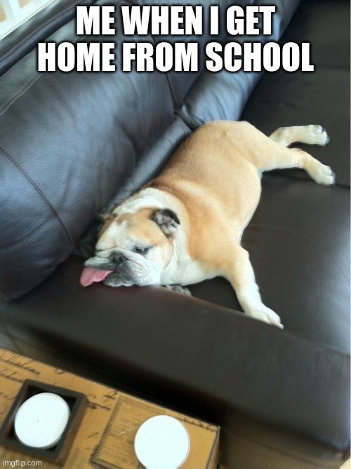 Ugh, especially if it's a Monday | ME WHEN I GET HOME FROM SCHOOL | image tagged in bulldog sleeping on couch | made w/ Imgflip meme maker