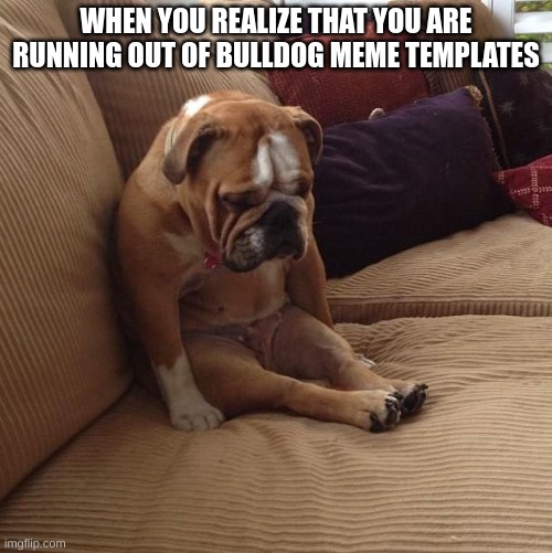 Nooooooo! | WHEN YOU REALIZE THAT YOU ARE RUNNING OUT OF BULLDOG MEME TEMPLATES | image tagged in bulldogsad | made w/ Imgflip meme maker