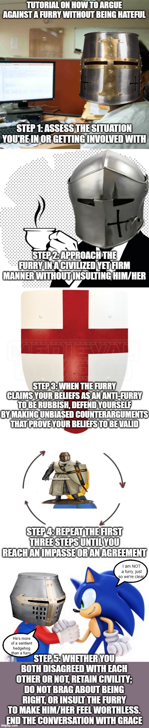 TUTORIAL: How to fight a furry. (Pacifist Route) | TUTORIAL ON HOW TO ARGUE AGAINST A FURRY WITHOUT BEING HATEFUL; STEP 1: ASSESS THE SITUATION YOU'RE IN OR GETTING INVOLVED WITH; STEP 2: APPROACH THE FURRY IN A CIVILIZED YET FIRM MANNER WITHOUT INSULTING HIM/HER; STEP 3: WHEN THE FURRY CLAIMS YOUR BELIEFS AS AN ANTI-FURRY TO BE RUBBISH, DEFEND YOURSELF BY MAKING UNBIASED COUNTERARGUMENTS THAT PROVE YOUR BELIEFS TO BE VALID; STEP 4: REPEAT THE FIRST THREE STEPS UNTIL YOU REACH AN IMPASSE OR AN AGREEMENT; I am NOT a furry, just so we're clear. STEP 5: WHETHER YOU BOTH DISAGREED WITH EACH OTHER OR NOT, RETAIN CIVILITY; DO NOT BRAG ABOUT BEING RIGHT, OR INSULT THE FURRY TO MAKE HIM/HER FEEL WORTHLESS. END THE CONVERSATION WITH GRACE; He's more of a sentient hedgehog than a furry. | image tagged in indian guy compuer tutorial - it,coffee crusader,crusader shield,i meet someone we talk they leave,mario and sonic,anti furry | made w/ Imgflip meme maker