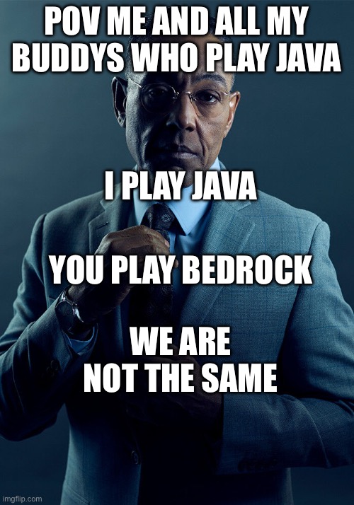 Gus Fring we are not the same | POV ME AND ALL MY BUDDYS WHO PLAY JAVA; I PLAY JAVA; YOU PLAY BEDROCK; WE ARE NOT THE SAME | image tagged in gus fring we are not the same,minecraft memes,java vs bedrock,java is better | made w/ Imgflip meme maker