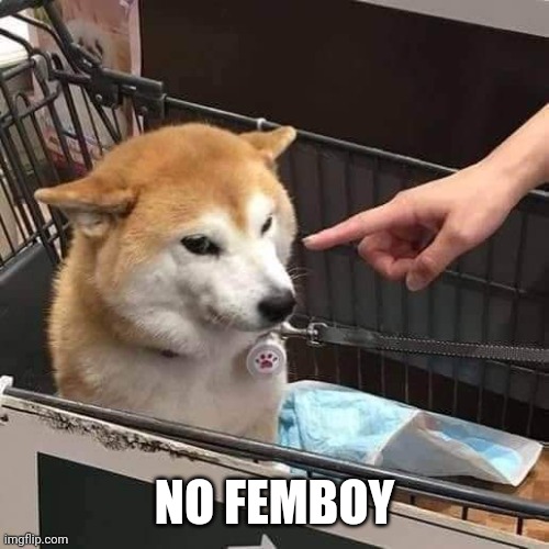 No horny | NO FEMBOY | image tagged in no horny | made w/ Imgflip meme maker
