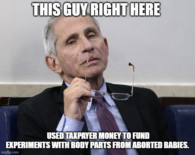 Evil personified!!! | THIS GUY RIGHT HERE; USED TAXPAYER MONEY TO FUND EXPERIMENTS WITH BODY PARTS FROM ABORTED BABIES. | image tagged in dr fauci,democrats,babies,abortion | made w/ Imgflip meme maker
