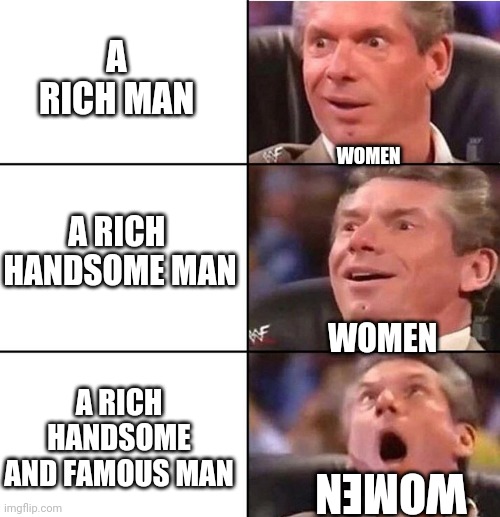 What turns them on | A RICH MAN; WOMEN; A RICH  HANDSOME MAN; WOMEN; A RICH HANDSOME AND FAMOUS MAN; WOMEN | image tagged in vince mcmahon | made w/ Imgflip meme maker