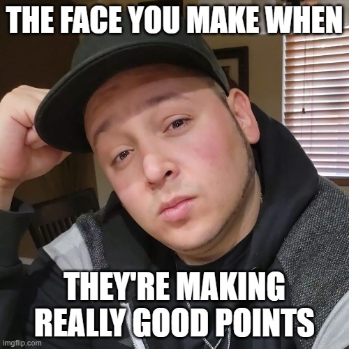 THE FACE YOU MAKE WHEN; THEY'RE MAKING REALLY GOOD POINTS | made w/ Imgflip meme maker