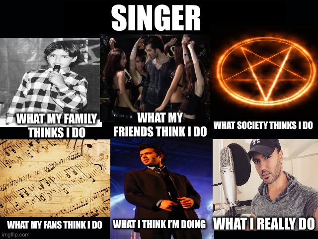 What I Really Do | SINGER; WHAT MY FRIENDS THINK I DO; WHAT MY FAMILY THINKS I DO; WHAT SOCIETY THINKS I DO; WHAT MY FANS THINK I DO; WHAT I THINK I’M DOING; WHAT I REALLY DO | image tagged in what my friends think i do | made w/ Imgflip meme maker
