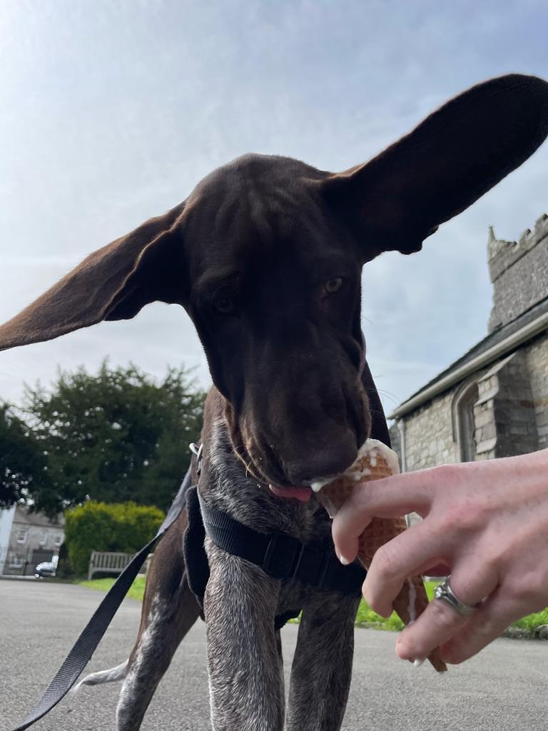 High Quality Helikopter Blank Meme Template