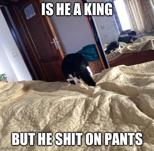 Pelix poopy king? | IS HE A KING; BUT HE SHIT ON PANTS | image tagged in poop | made w/ Imgflip meme maker