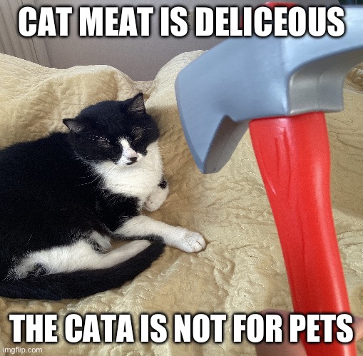 The cats  butcher | CAT MEAT IS DELICEOUS; THE CATA IS NOT FOR PETS | image tagged in butcher | made w/ Imgflip meme maker