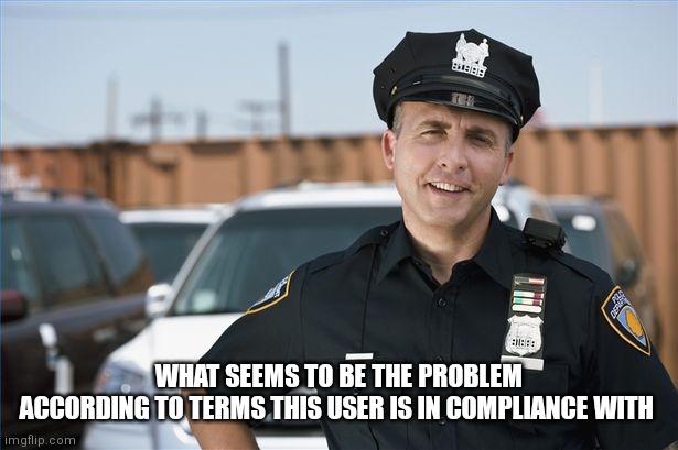 Police officer  | WHAT SEEMS TO BE THE PROBLEM
ACCORDING TO TERMS THIS USER IS IN COMPLIANCE WITH | image tagged in police officer | made w/ Imgflip meme maker