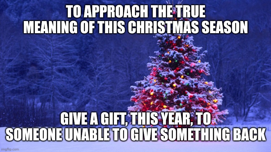 Christmas Tree | TO APPROACH THE TRUE MEANING OF THIS CHRISTMAS SEASON; GIVE A GIFT, THIS YEAR, TO SOMEONE UNABLE TO GIVE SOMETHING BACK | image tagged in christmas tree | made w/ Imgflip meme maker