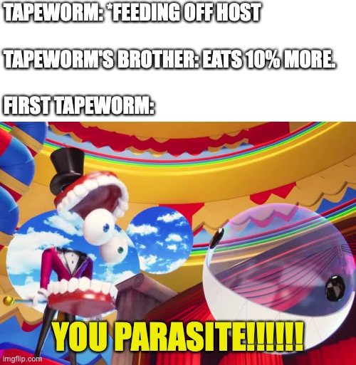 Upvote if I made you smile | TAPEWORM: *FEEDING OFF HOST
 
TAPEWORM'S BROTHER: EATS 10% MORE.
 
FIRST TAPEWORM:; YOU PARASITE!!!!!! | image tagged in you parasite,the amazing digital circus,science,tapeworm,funny | made w/ Imgflip meme maker