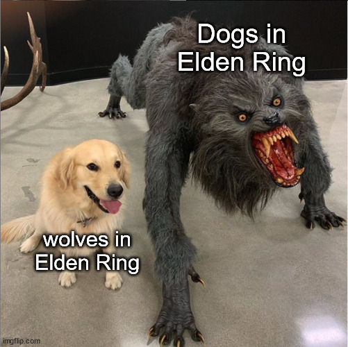 dog vs werewolf | Dogs in Elden Ring; wolves in Elden Ring | image tagged in dog vs werewolf | made w/ Imgflip meme maker