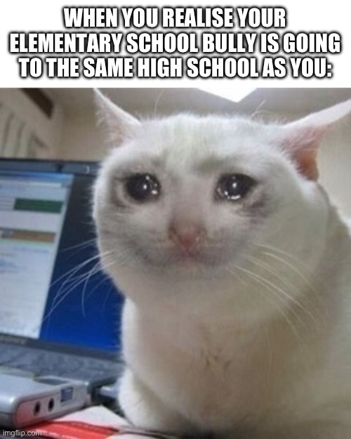 uh oh.. | WHEN YOU REALISE YOUR ELEMENTARY SCHOOL BULLY IS GOING TO THE SAME HIGH SCHOOL AS YOU: | image tagged in crying cat,relatable,highschool | made w/ Imgflip meme maker
