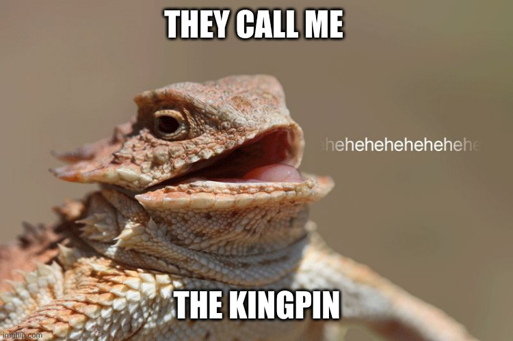 laughing lizard | THEY CALL ME; THE KINGPIN | image tagged in laughing lizard | made w/ Imgflip meme maker