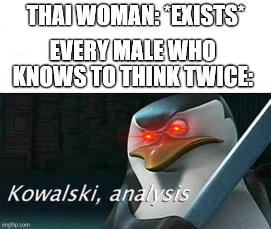 AN IMPOSTOR!!! | THAI WOMAN: *EXISTS*; EVERY MALE WHO KNOWS TO THINK TWICE: | image tagged in kowalski analysis,thai,women,funny,memes,dank memes | made w/ Imgflip meme maker