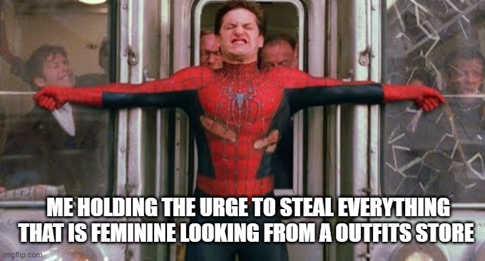 Spiderman holding it together | ME HOLDING THE URGE TO STEAL EVERYTHING THAT IS FEMININE LOOKING FROM A OUTFITS STORE | image tagged in spiderman holding it together | made w/ Imgflip meme maker