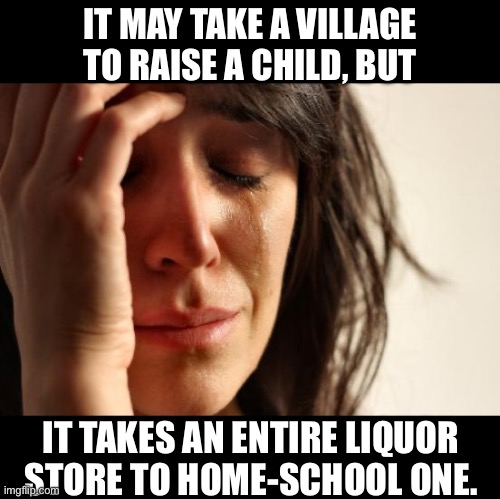 Village | IT MAY TAKE A VILLAGE TO RAISE A CHILD, BUT; IT TAKES AN ENTIRE LIQUOR STORE TO HOME-SCHOOL ONE. | image tagged in memes,first world problems | made w/ Imgflip meme maker